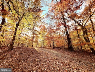 0 Goaway Rd Unit WVBE2044942, Hedgesville, WV 25427