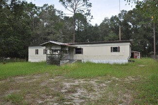 14411 NE 50th Place, Williston, FL 32696