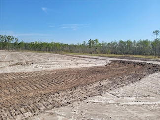 1001 Omega Ranch Rd, New Smyrna Beach, FL 32168