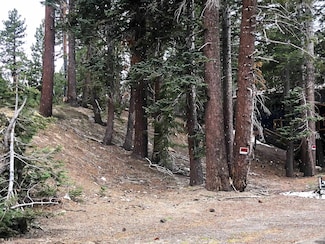 3 Berner St Unit 70, Mammoth Lakes, CA 93546