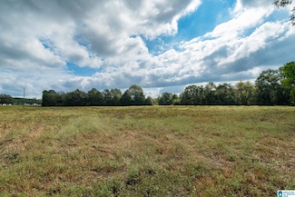 0 Allred Rd Unit 21435120, Lincoln, AL 35096