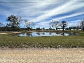 18 New Arbor Rd W, Poplarville, MS 39470