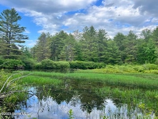 Lot 3 Mcgregor Rd, Johnstown, NY 12078