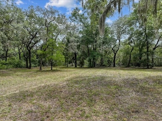 TBD SW 279th Ave, Steinhatchee, FL 32359