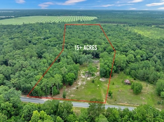 336 Green Valley Rd, Sylvester, GA 31791