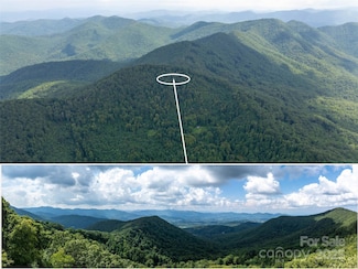 99999 Billy Cove Rd, Candler, NC 28715