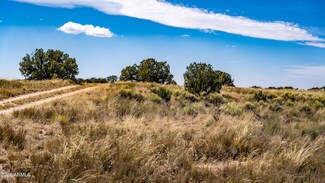 XX W County Rd 7393 -- Unit lots 331, 332, Sanders, AZ 86512