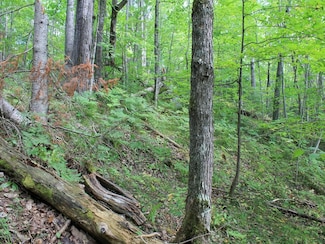 Lot 15 Alpine Dr, Hurley, WI 54565