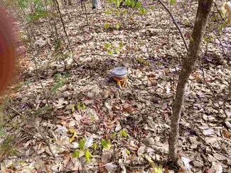 0 Forest Trail Unit 4692869, Newbury, VT 05040
