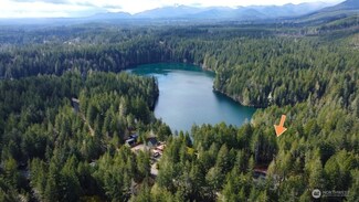 250 N Mountain View Dr, Hoodsport, WA 98548