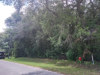 Lot 6 Bahia Court Terrace, Silver Springs Shores, FL 34472