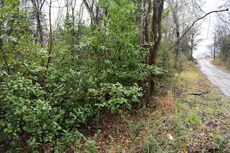 0 Eilenstein St, Palestine, TX 75801