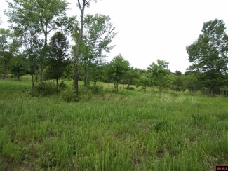 6867 County Road 74, Calico Rock, AR 72519