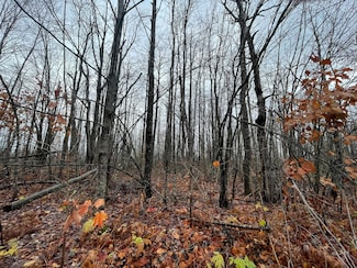 LOT 46 Louise Dr, Hayes Township, MI 49730