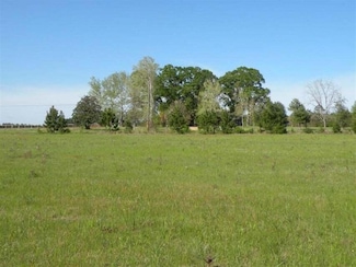 TBD Louisiana 121, Hineston, LA 71438