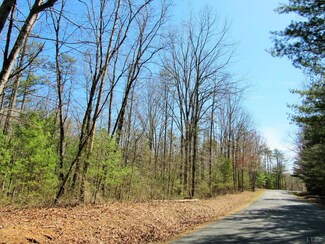 0 Love Lady Creek Rd, Monroe, VA 24574