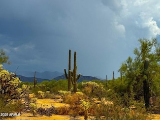 0 S Twin Hawk Lot #5 10 Acres --, Marana, AZ 85658