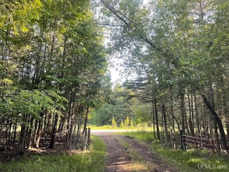 TBD 17th Rd, Garden, MI 49835