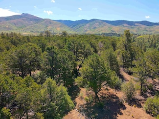 Tract A Forest Road 493, Lama, NM 87529