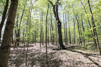 Parcel 2 Vl Benny Ct, Grand Junction, MI 49056