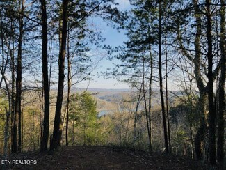 0 Red Creek Hollow, New Tazewell, TN 37825