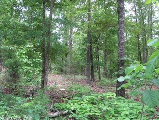 0 Brown Creek Rd Unit 17018722, Ravenden, AR 72459