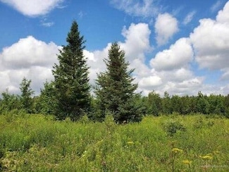 114 Perkins Rd, Presque Isle, ME 04769