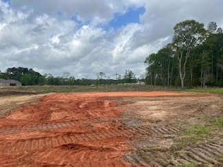 33 M D Thompson Rd, Moselle, MS 39459