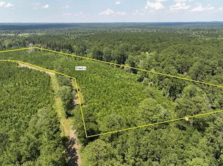 0 Fire Tower Dr, Hemphill, TX 75948