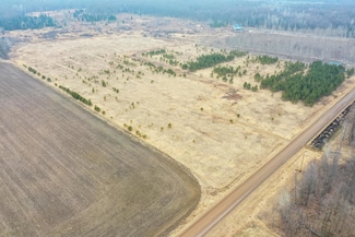 +/-20 Acres Hamm Dr, Owen, WI 54460