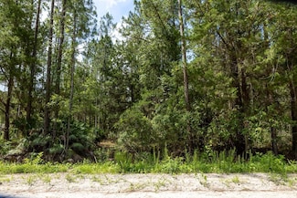 5661 Ironwood Ave, Bunnell, FL 32110