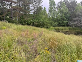 0 Rd Unit 21426537, Nauvoo, AL 35578