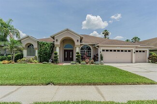 10027 Cypress Shadow Ave, Tampa, FL 33647