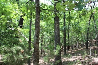 Lot 9B Country Club Dr, Sundown, MO 65761