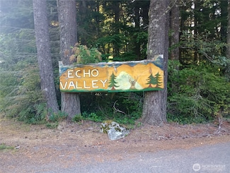 31401 556th Street Ct E, Ashford, WA 98304