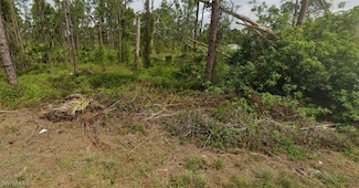 1111 Venetia St, Lehigh Acres, FL 33974