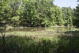 1165 Pine Shores Cove, Tignall, GA 30668