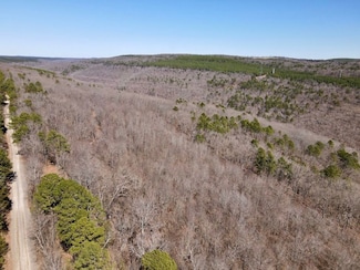 000 Old Brewer Rd S Unit LotWP001, Edgemont, AR 72044