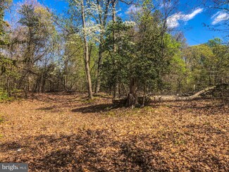 6850 Broomes Island Rd, Saint Leonard, MD 20685