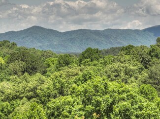 941 Brookhaven Ln, Blue Ridge, GA 30513