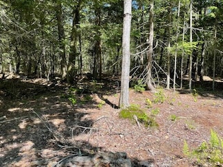 3/PT12 Lincolnville Rd, Belmont, ME 04952