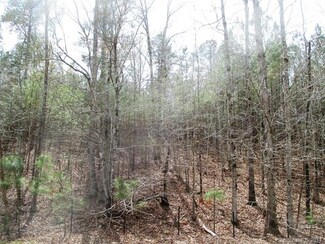 Lt 76 Lakeside Trail, Lilesville, NC 28091