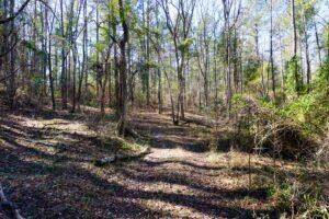 0 Wagontong Rd Unit 469598, Wagener, SC 29164