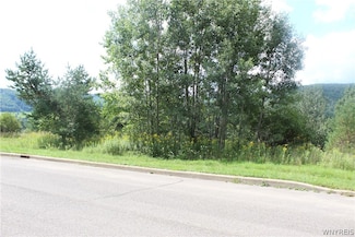 6-8 Mckinley Dr, Ellicottville, NY 14731