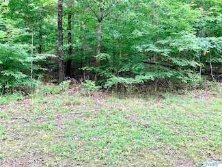 0.34 acres Shady Ln NE, Fort Payne, AL 35967