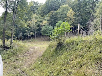 1363 Will Dodd Rd, Streeter, WV 25969