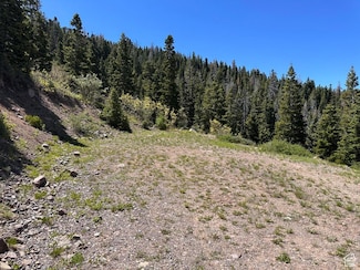 4280 S Deep Dr Unit 29, Summit, UT 84772