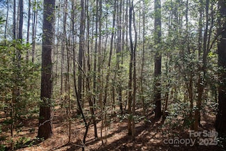 4155 Persimmon Rd, Lancaster, SC 29720