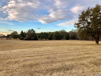 3.43 Highway 36 E, Laceys Spring, AL 35754