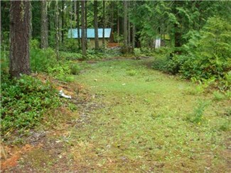 111 N Hamma Hamma Dr W, Hoodsport, WA 98548
